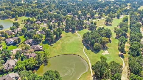 404 Ruby Cv, Madison, MS 39110 photo 57