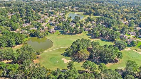 404 Ruby Cv, Madison, MS 39110 photo 59