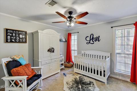207 Haddon Cir, Brandon, MS 39047 photo 19