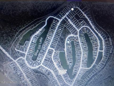 lot183 Beaver Dam Dr, Lucedale, MS 39452 photo 5