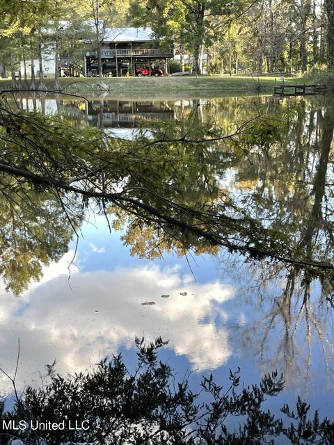 lot183 Beaver Dam Dr, Lucedale, MS 39452 photo 3