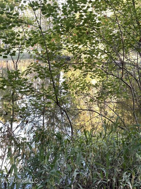 lot183 Beaver Dam Dr, Lucedale, MS 39452 photo 2