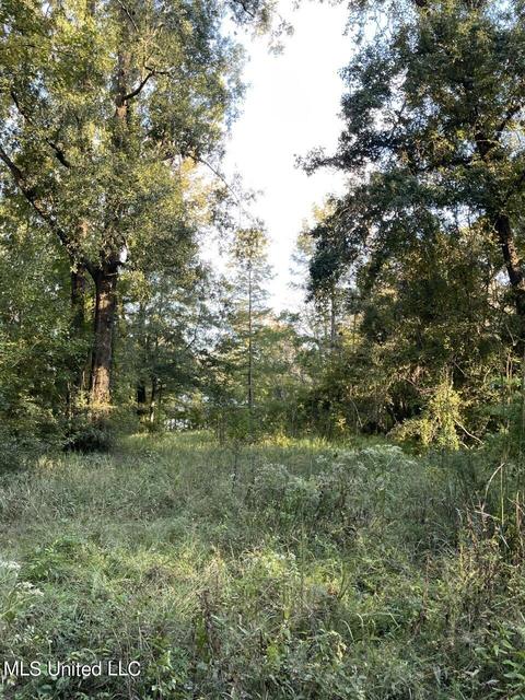 lot183 Beaver Dam Dr, Lucedale, MS 39452 photo 4