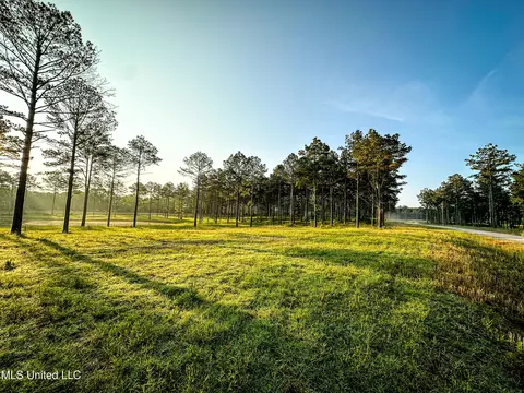lot3 Hidden Pines Ln, Flora, MS 39071 photo 2