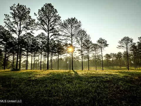 lot3 Hidden Pines Ln, Flora, MS 39071