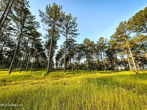 lot3 Hidden Pines Ln, Flora, MS 39071 photo 4