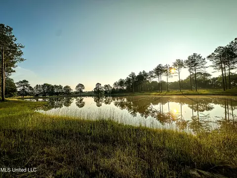 lot3 Hidden Pines Ln, Flora, MS 39071 photo 3