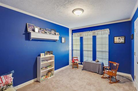 110 Lowe Cir, Clinton, MS 39056 photo 22