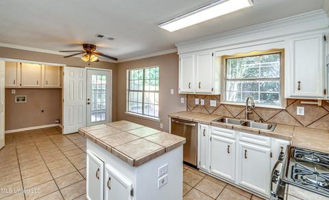 117 Bennington Pt, Madison, MS 39110 photo 14