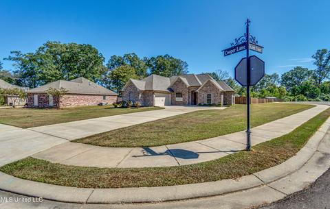 244 Cooper Ln, Canton, MS 39046 photo 3