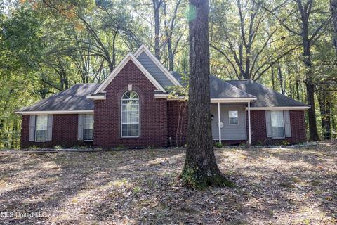 6505 River Birch Rd, Walls, MS 38680 photo 2
