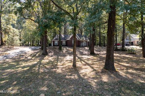 6505 River Birch Rd, Walls, MS 38680 photo 18