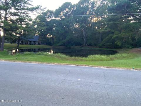 150 Rolling Hills Blvd, Florence, MS 39073 photo 3