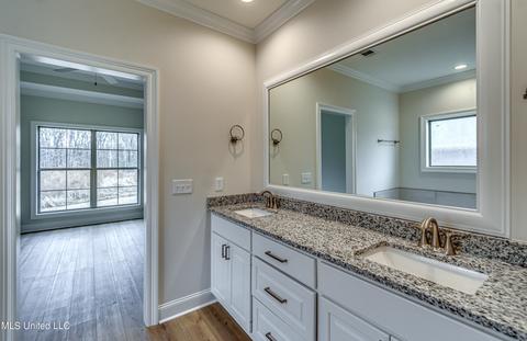 176 Shoreview Dr, Madison, MS 39110 photo 61