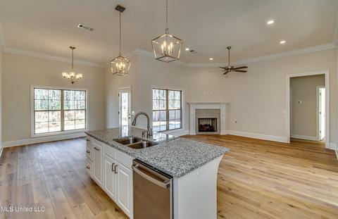 176 Shoreview Dr, Madison, MS 39110 photo 27