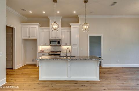 176 Shoreview Dr, Madison, MS 39110 photo 25