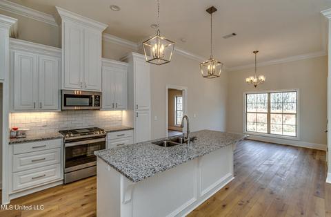 176 Shoreview Dr, Madison, MS 39110 photo 26