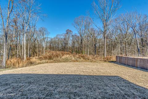 176 Shoreview Dr, Madison, MS 39110 photo 57