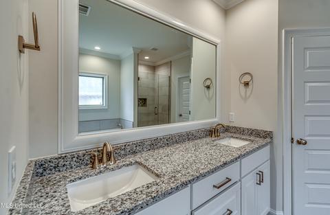 176 Shoreview Dr, Madison, MS 39110 photo 60