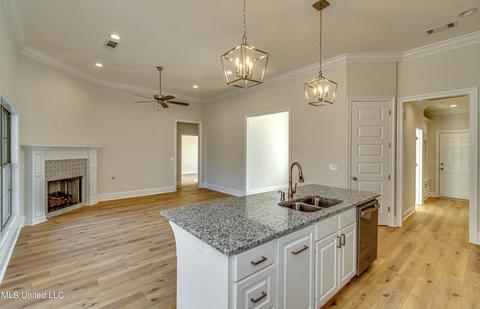 176 Shoreview Dr, Madison, MS 39110 photo 30