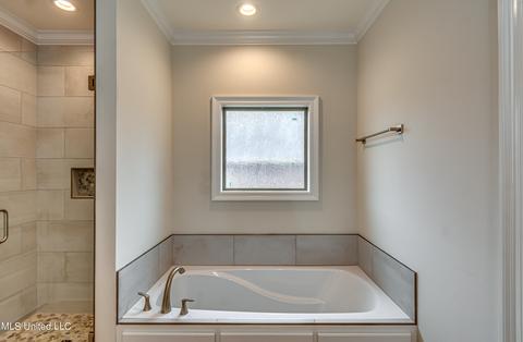 176 Shoreview Dr, Madison, MS 39110 photo 59