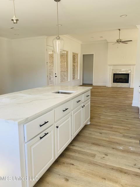 472 Crossvine Pl, Madison, MS 39110 photo 9