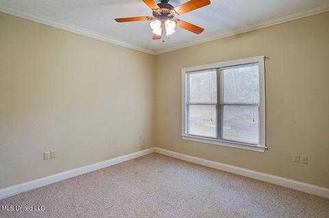 206 Willow Crest Cv, Brandon, MS 39047 photo 11