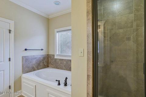 206 Willow Crest Cv, Brandon, MS 39047 photo 15