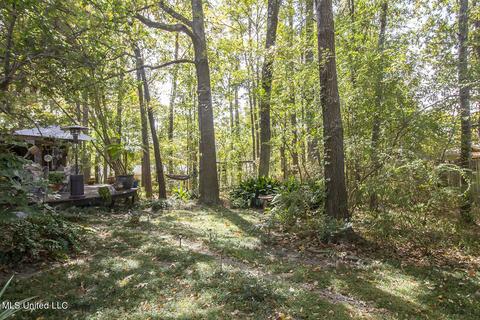 361 Willow Ridge Cv, Brandon, MS 39047 photo 39