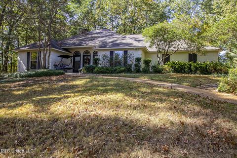 361 Willow Ridge Cv, Brandon, MS 39047 photo 45