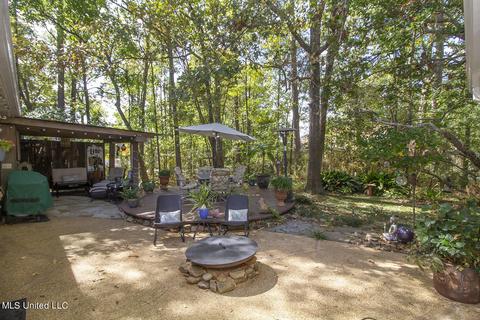361 Willow Ridge Cv, Brandon, MS 39047 photo 37