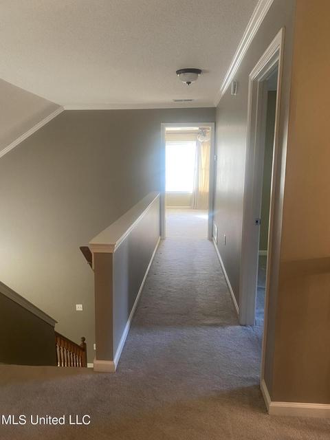 3301 Geary Dr, Nesbit, MS 38651 photo 28