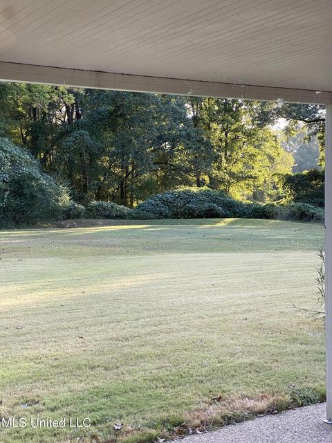 3301 Geary Dr, Nesbit, MS 38651 photo 5