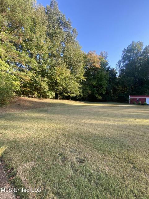3301 Geary Dr, Nesbit, MS 38651 photo 9