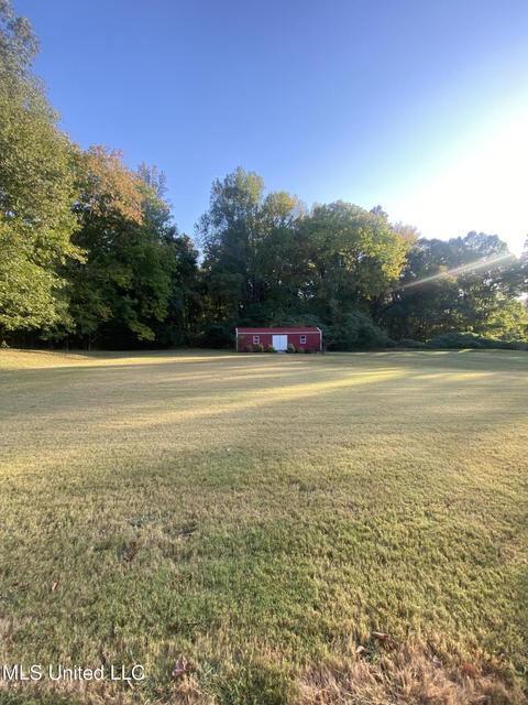 3301 Geary Dr, Nesbit, MS 38651 photo 10