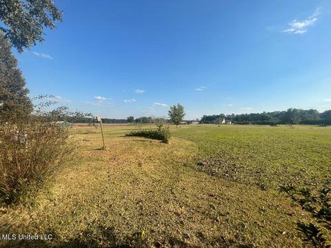 266 W Fire Department Rd, Lucedale, MS 39452 photo 8