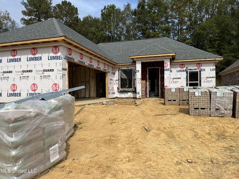 133 Ashley Park Dr, Byram, MS 39272 photo 1