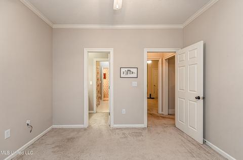 419 Ashley Terrace Ter, Madison, MS 39110 photo 40