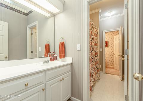 419 Ashley Terrace Ter, Madison, MS 39110 photo 41