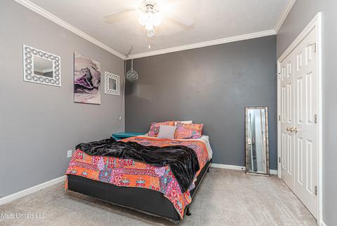 419 Ashley Terrace Ter, Madison, MS 39110 photo 47