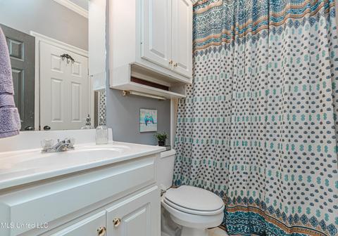 419 Ashley Terrace Ter, Madison, MS 39110 photo 50