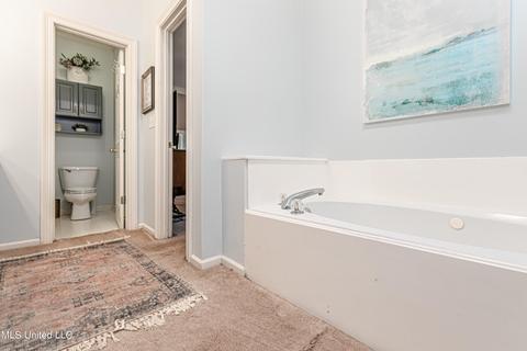 419 Ashley Terrace Ter, Madison, MS 39110 photo 35