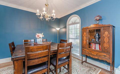419 Ashley Terrace Ter, Madison, MS 39110 photo 9