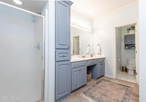 419 Ashley Terrace Ter, Madison, MS 39110 photo 36