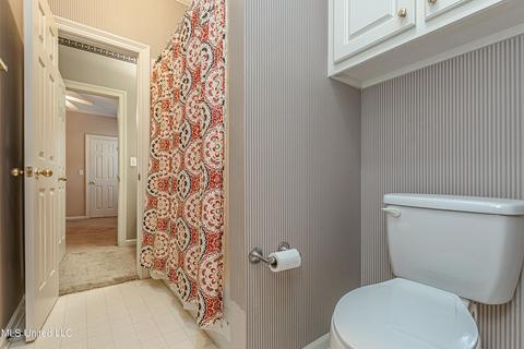 419 Ashley Terrace Ter, Madison, MS 39110 photo 43