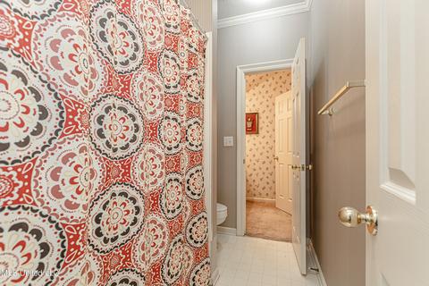 419 Ashley Terrace Ter, Madison, MS 39110 photo 42