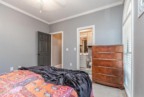 419 Ashley Terrace Ter, Madison, MS 39110 photo 48