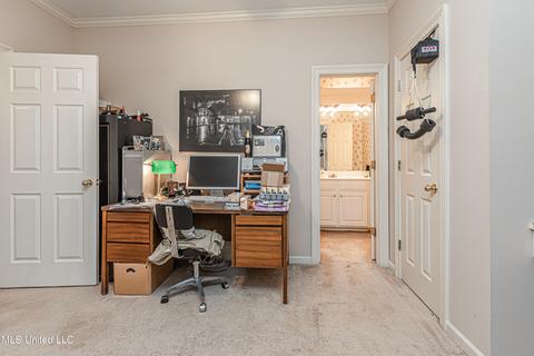 419 Ashley Terrace Ter, Madison, MS 39110 photo 46