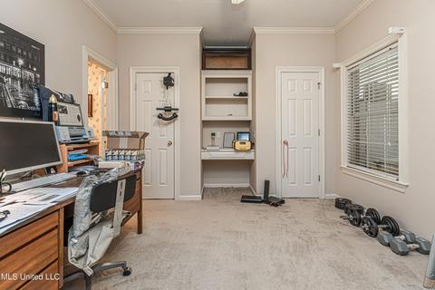 419 Ashley Terrace Ter, Madison, MS 39110 photo 45