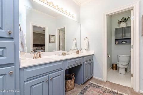 419 Ashley Terrace Ter, Madison, MS 39110 photo 37